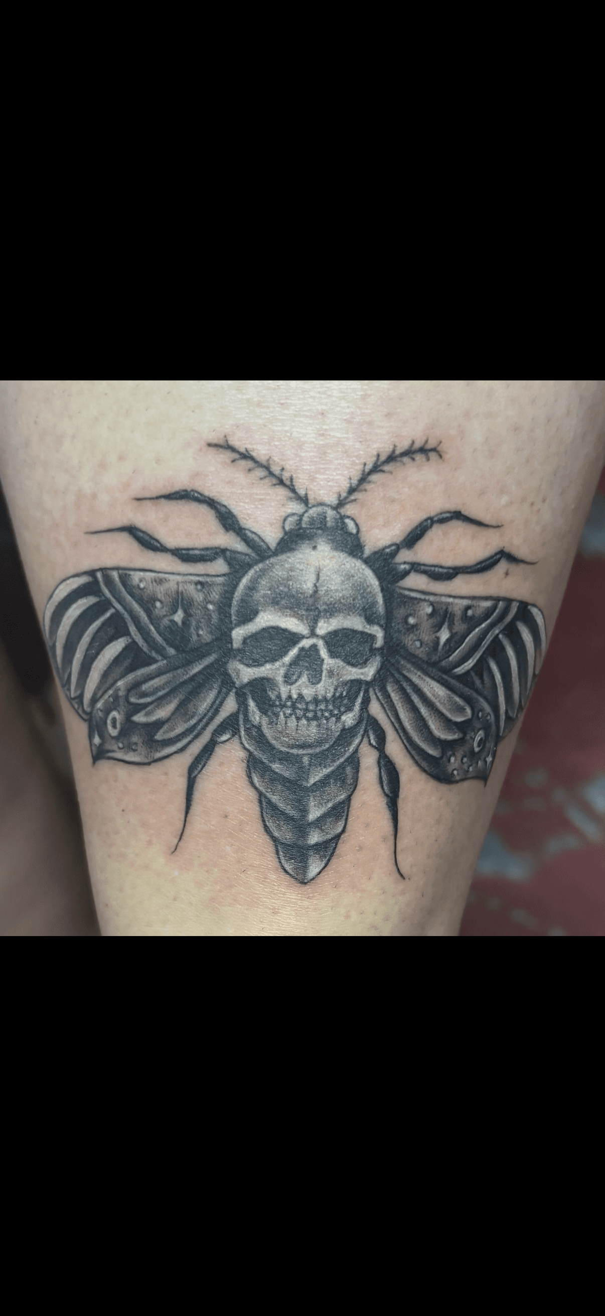 Detailed black and grey tattoo of a moth with a human skull and rib-patterned wings.